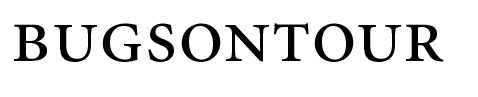 BugsOnTour
