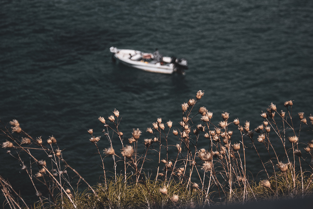 marie (154 of 262)_web